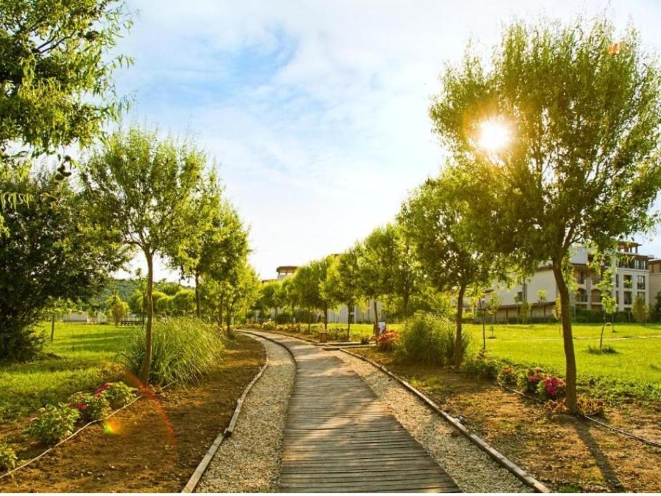 Green Life Studio Sozopol Bilik gambar